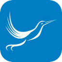 Fengniao Free VPN, 蜂鸟应用免费梯子加速器