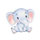 Daxiang Free VPN, 雄伟的象免费梯子加速器